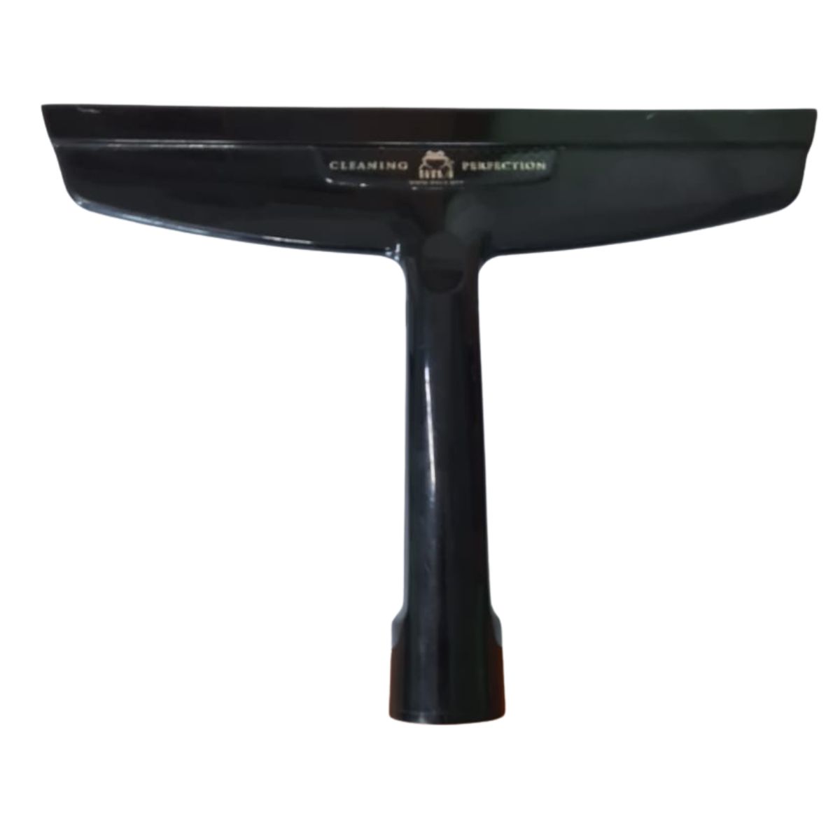 Odsávaná stěrka Hyla bez pozadí